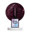 NAILSOFTHENIGHT Reflective base 12 - base with "flash" effect and burgundy petals, 10 ml